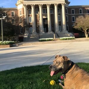 Meet your Posher, Wes